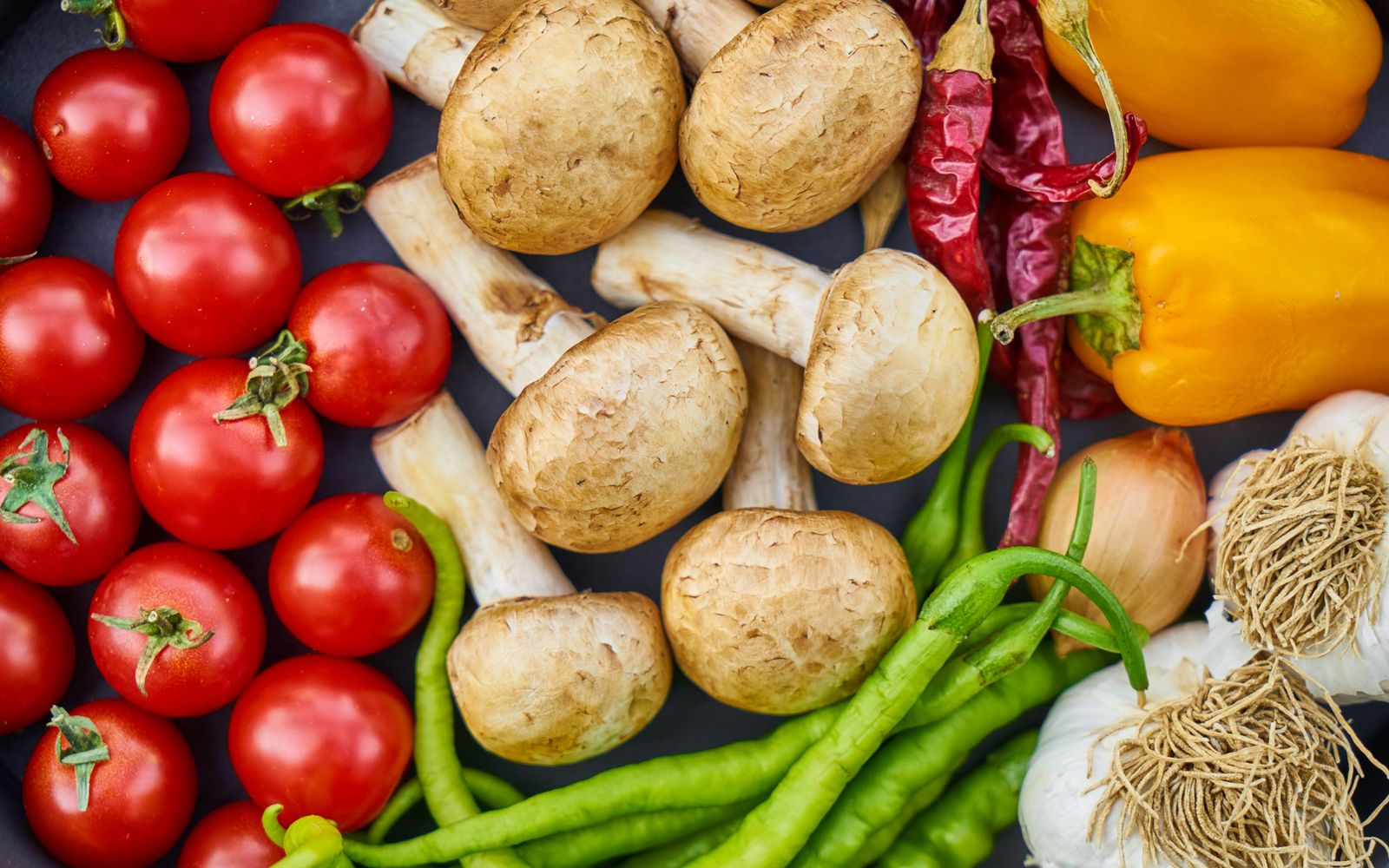 Wellness coach discussing personalised nutrition and lifestyle guidance with a client